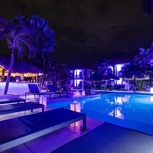 Hotel Van Gogh Aruba Palm Beach